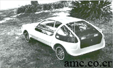 1980 AMC RSV Eale II Hybrid