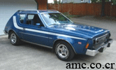 1973 Levi's Gremlin special edition